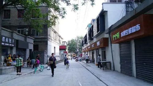 喜迎国庆，背街小巷焕新颜 建筑物清洁服务为生活增添幸福感